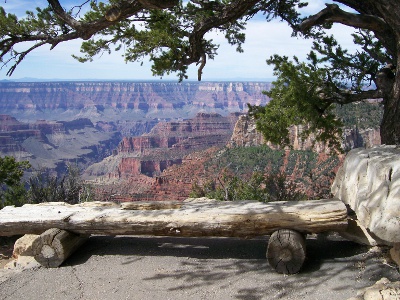 Bench where Robert Muses