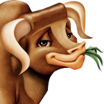 Ox